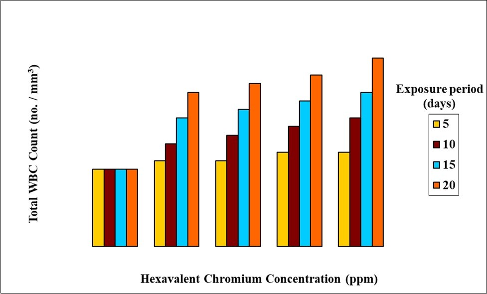  Effect of hexavalent chromium on the WBC count (number / mm3) of L. rohita