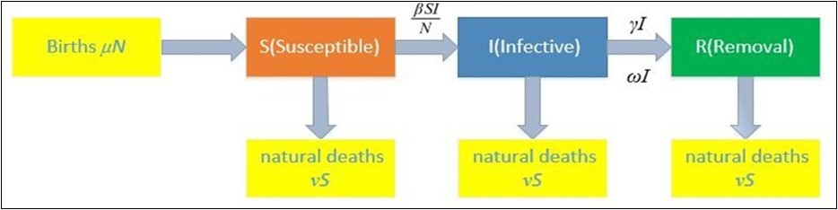  SIR model diagram in Hubei Province (consider births and natural deaths)
