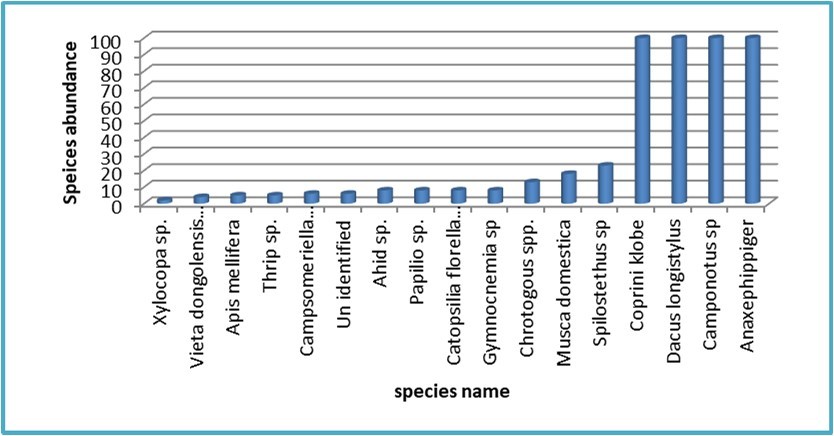 Species dynamic of insects collected from the hilly site in 2022