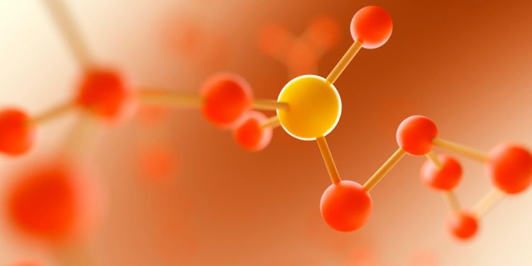 Article: Effects of Glutamine and Glycine Supplementation on Invitro Vitrification of Immature bovine oocytes