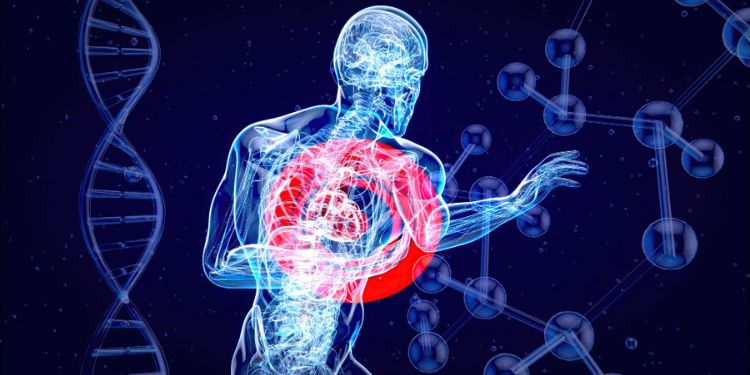 Article: Pnpla3/Adiponutrin Deficiency in Mice Does Not Contribute to Steatohepatitis, Fibrosis or Cholestatic Liver Injury
